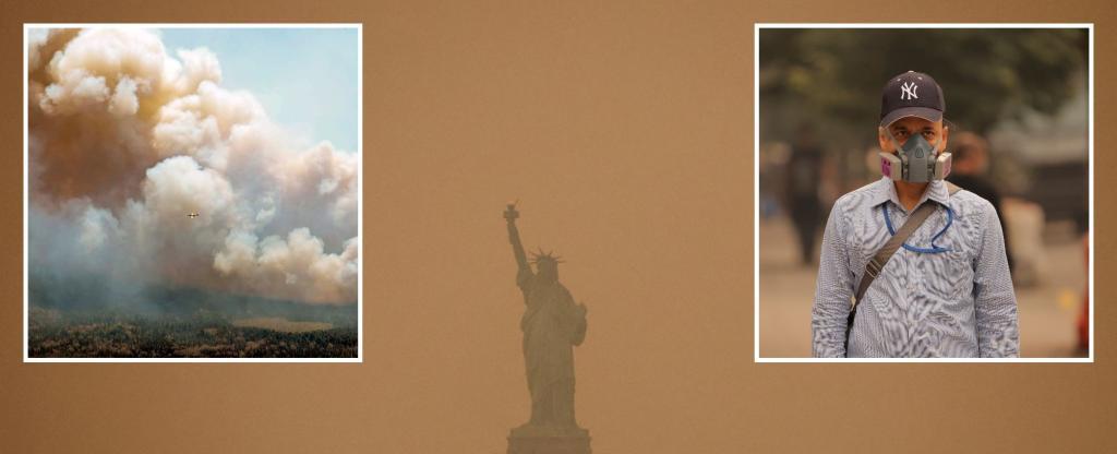 Smoky New York isn't climate change — it's bad forest management