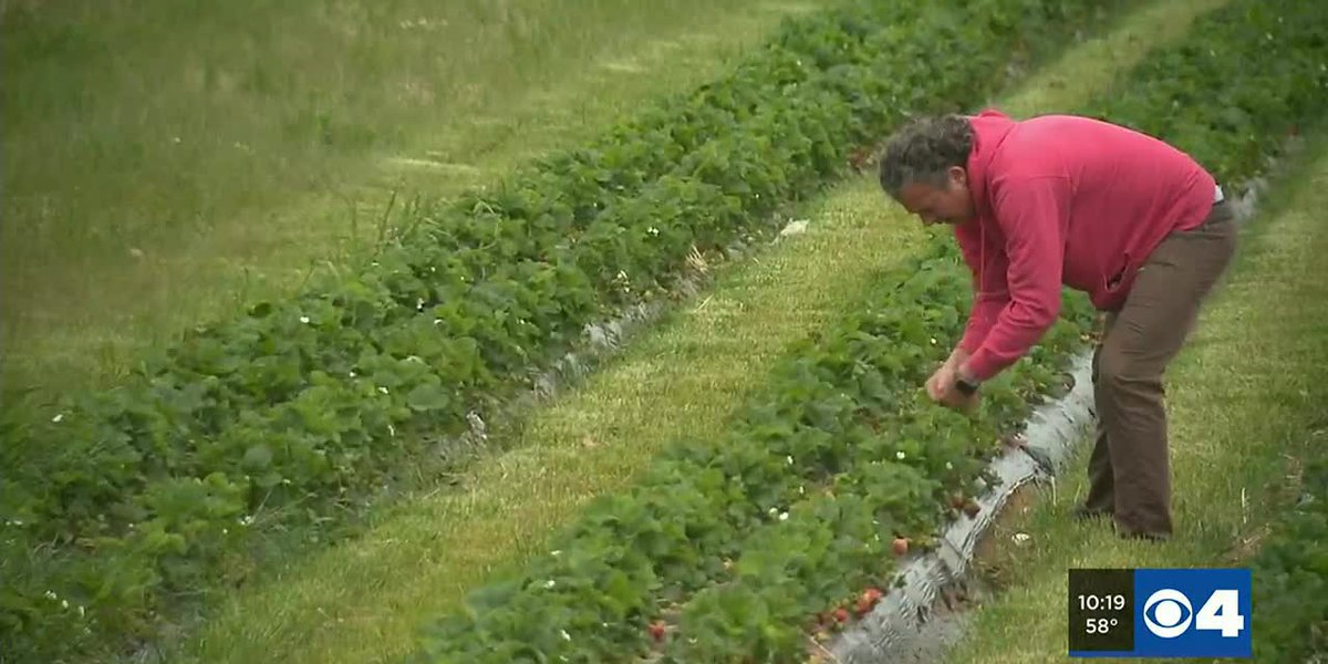 Local farmers say extreme weather is making the job harder, but Congress can step in to help