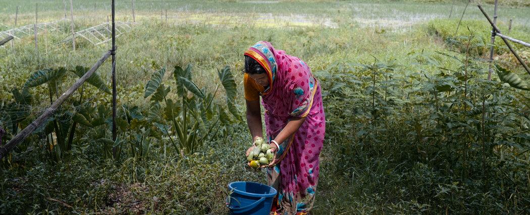 Bangladesh Offers a Glimpse of the Water Crises of Tomorrow
