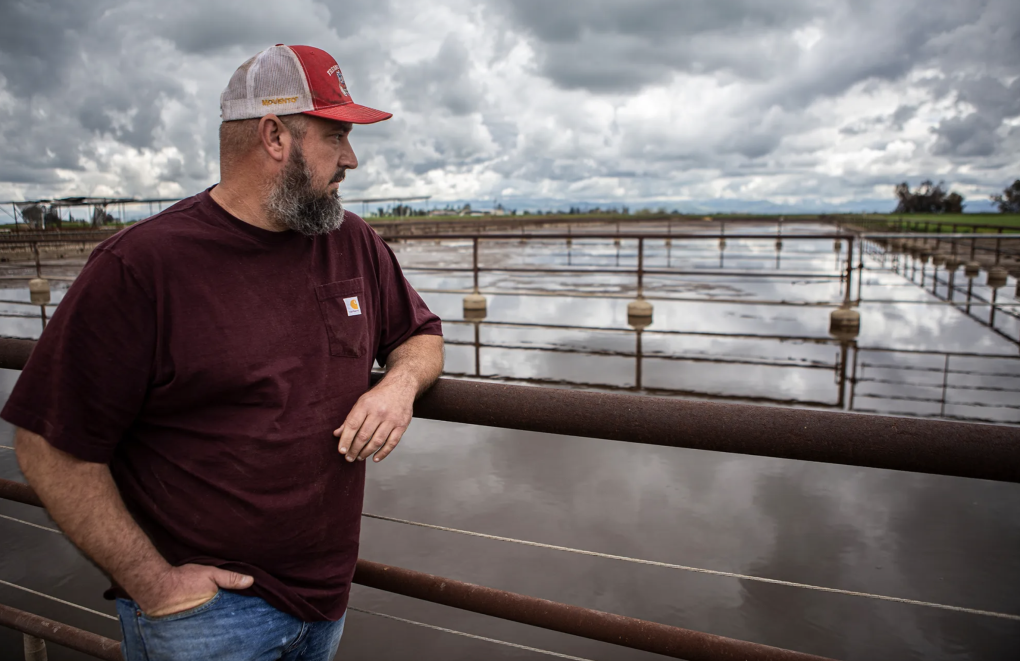 ‘It’s a Nightmare’: Dairy Farmers Struggle to Bounce Back From Record Floods | KQED