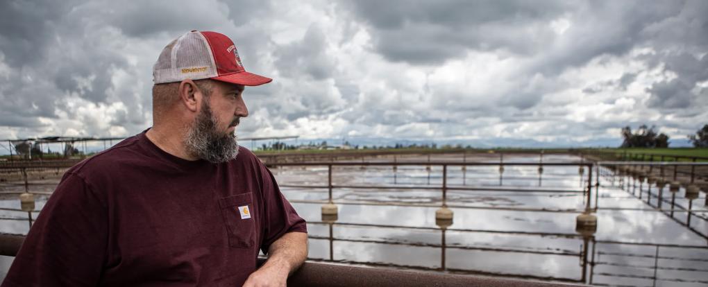 ‘It’s a Nightmare’: Dairy Farmers Struggle to Bounce Back From Record Floods | KQED