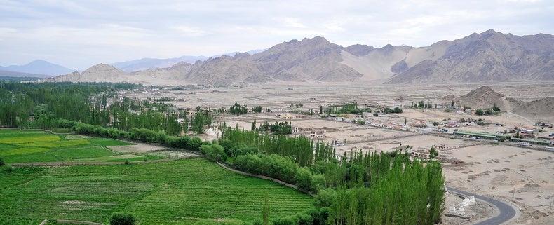 One Planet, Two Crises: Tackling Climate Change and Biodiversity in the Fight for Our Future