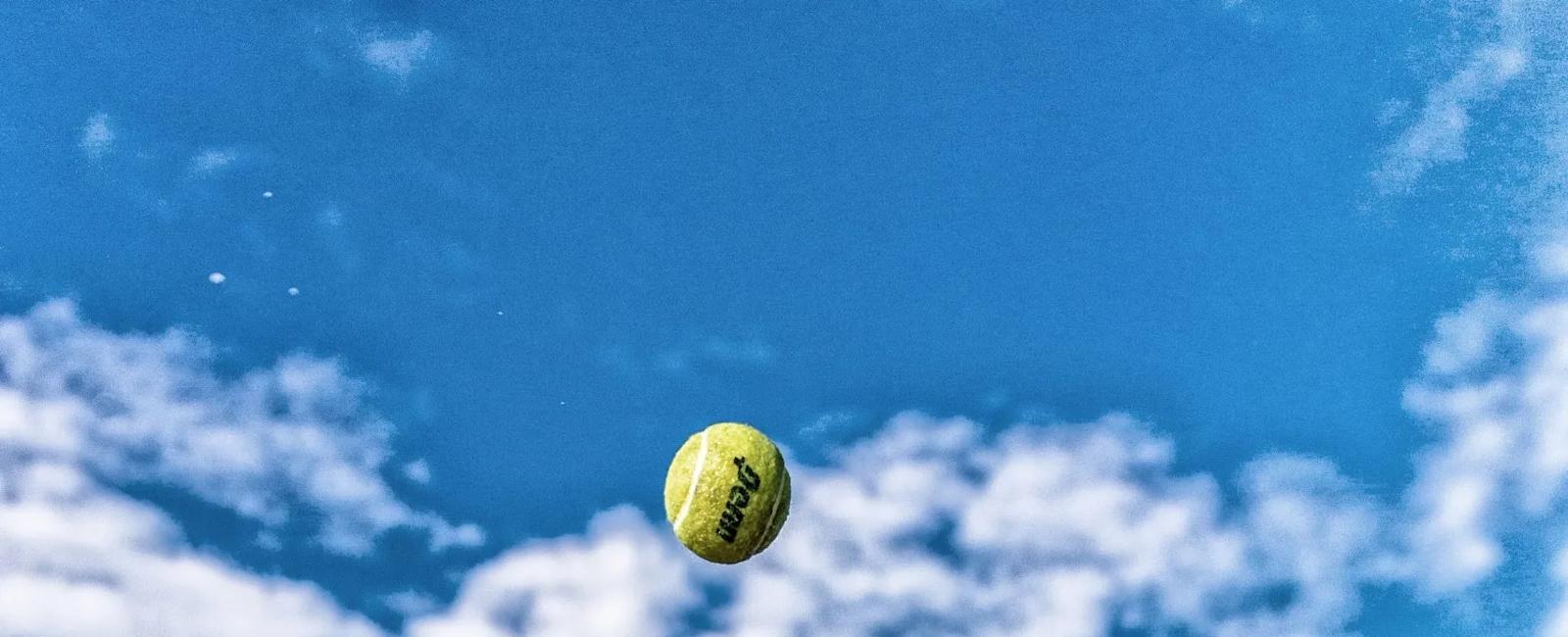 10 tips on pet safety and avoiding heat stroke in hot weather