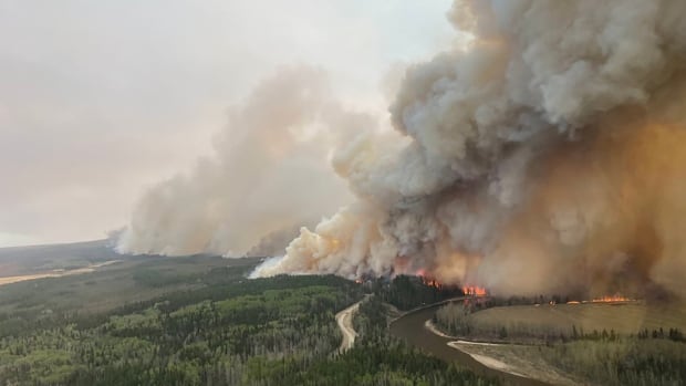 Provincial state of emergency declared in Alberta as wildfires spread and more residents flee | CBC News