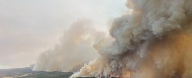 Provincial state of emergency declared in Alberta as wildfires spread and more residents flee | CBC News