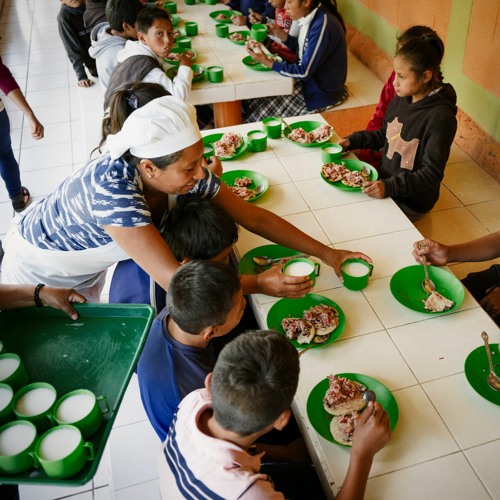 Home-grown school feeding programmes and the nexus of climate change, biodiversity and nutrition