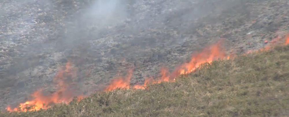 Officials say arson behind wildfires in northern Spain