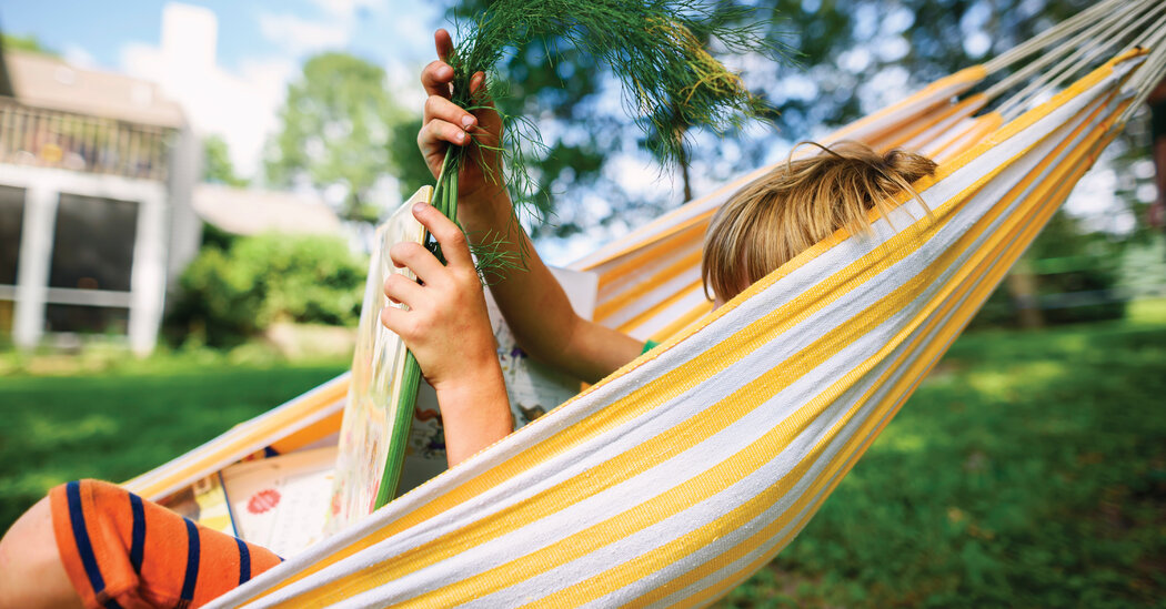 Opinion | Only One State in America Includes the Study of Climate Change for All Grades