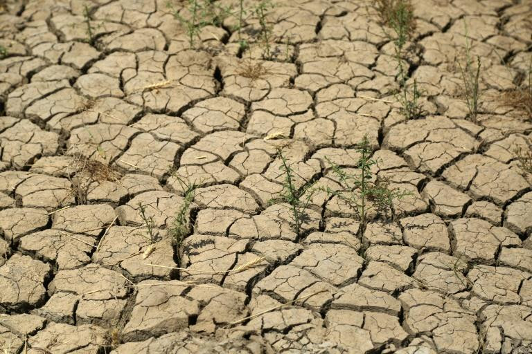 Climate change can cause a collapse of life on earth, claim scientists