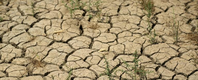 Climate change can cause a collapse of life on earth, claim scientists