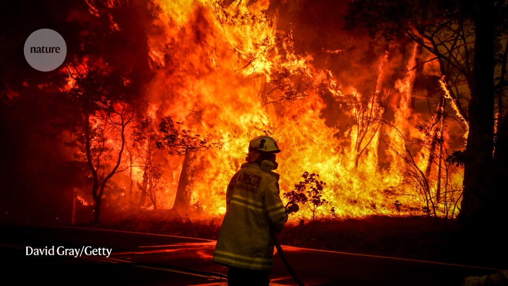 Australia’s massive wildfires shredded the ozone layer — now scientists know why