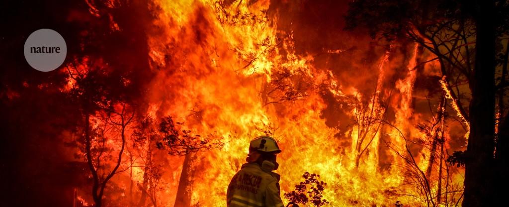 Australia’s massive wildfires shredded the ozone layer — now scientists know why