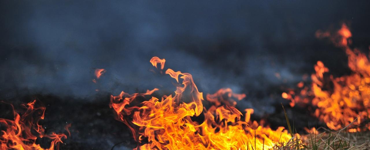 Crews respond to 400 acre grass fire east of Moriarty
