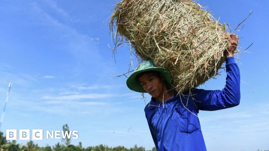 Climate change: Vietnam records highest-ever temperature of 44.1C