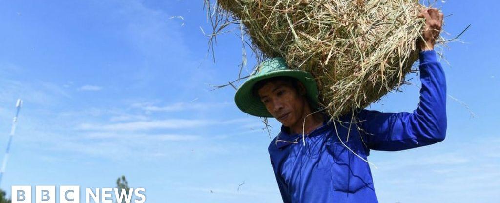 Climate change: Vietnam records highest-ever temperature of 44.1C