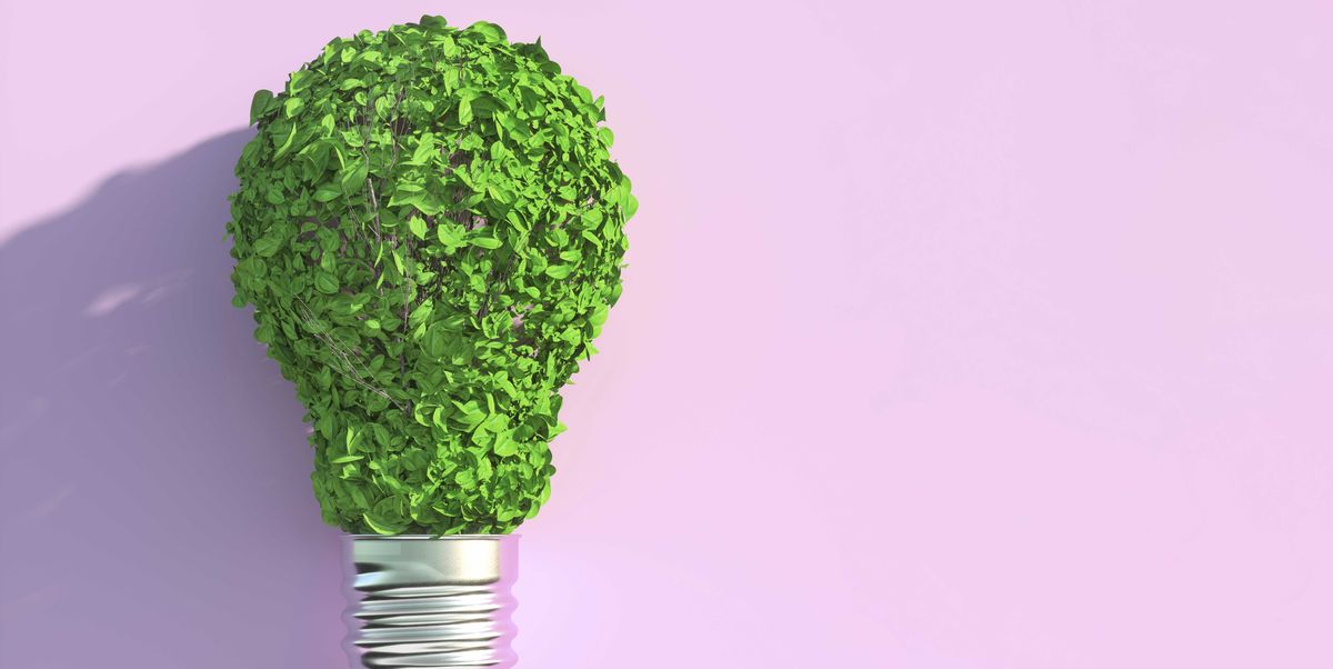 5 Reasons to Be Hopeful About the Future of Climate Change