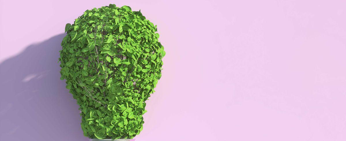 5 Reasons to Be Hopeful About the Future of Climate Change