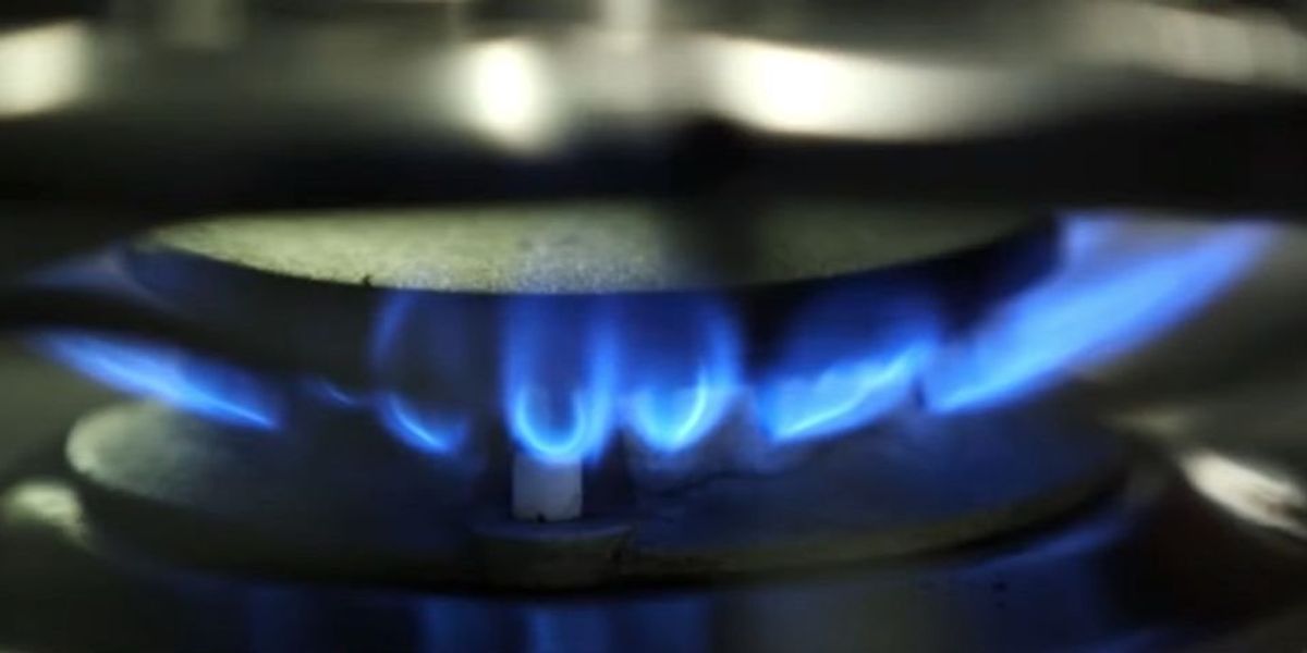 New York becomes first state to ban gas stoves and fossil fuels in new buildings to fight climate change