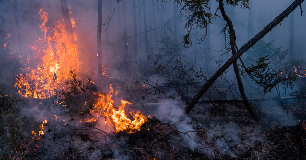 Canadian Wildfires, Bigger Than Ever, Test Foreign Firefighters