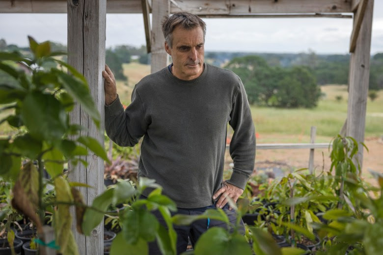 Mangoes and agave in the Central Valley? California farmers try new crops to cope with climate change