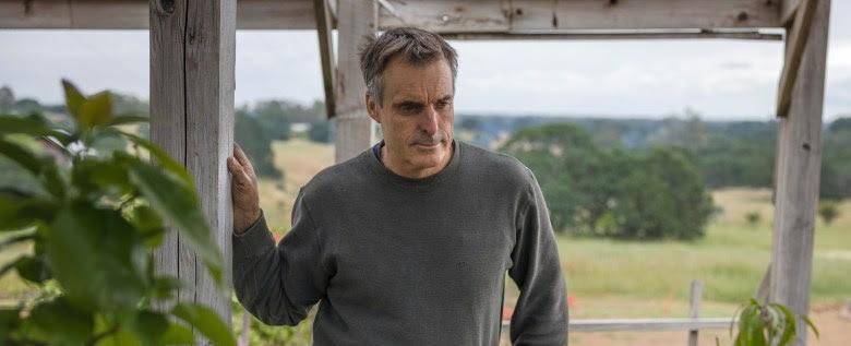 Mangoes and agave in the Central Valley? California farmers try new crops to cope with climate change