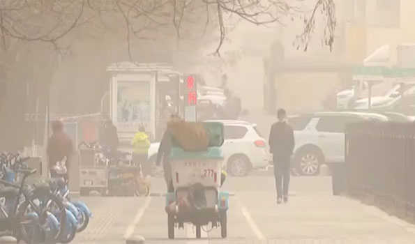 Over 2.90L head of livestock killed in E Mongolia due to dust, snow storms - Goa Chronicle