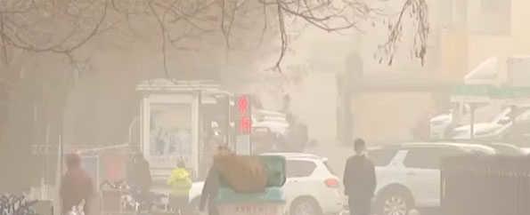 Over 2.90L head of livestock killed in E Mongolia due to dust, snow storms - Goa Chronicle