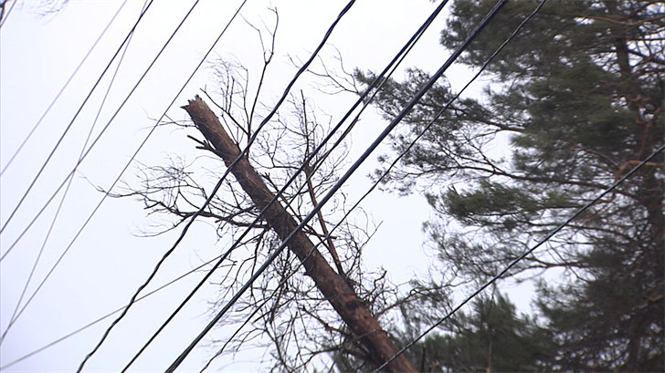 Erie County Public Safety Severe Weather Tips