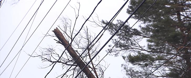 Erie County Public Safety Severe Weather Tips