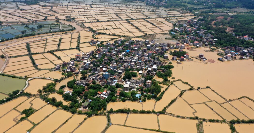 China’s Extreme Floods and Heat Ravage Farms and Kill Animals