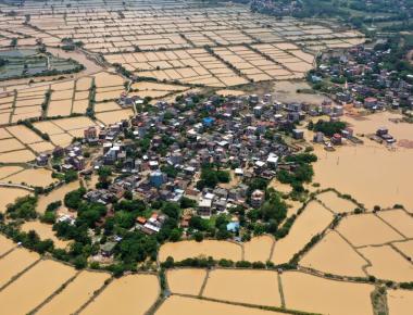 China’s Extreme Floods and Heat Ravage Farms and Kill Animals