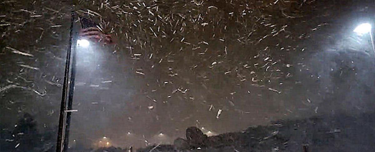 Weak storm system kicks up snow showers across the Sierra