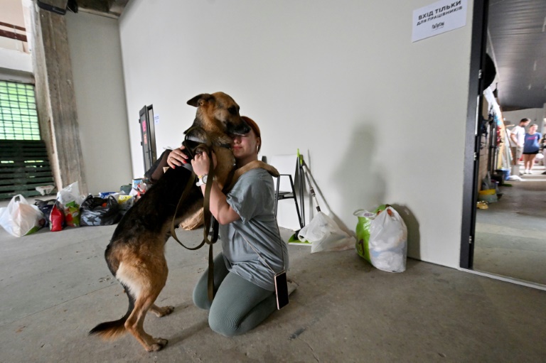 Cats And Dogs Saved From Ukraine Floods Find New Homes