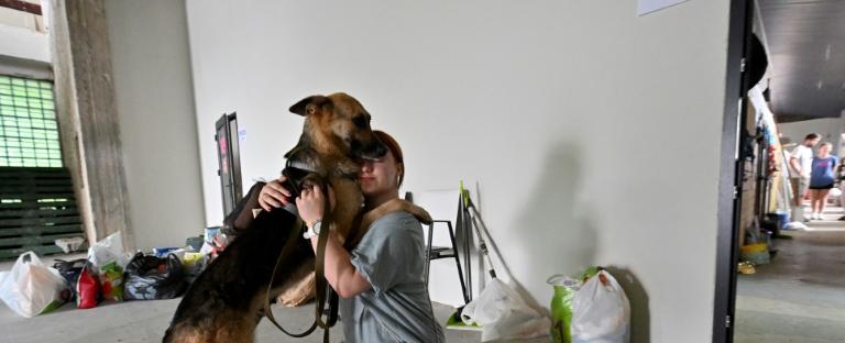 Cats And Dogs Saved From Ukraine Floods Find New Homes