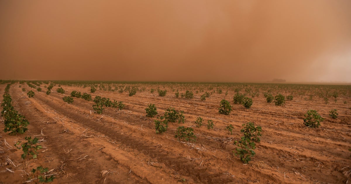 Climate change has sent temperatures soaring in Texas