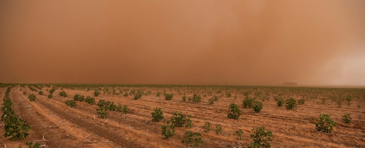 Climate change has sent temperatures soaring in Texas