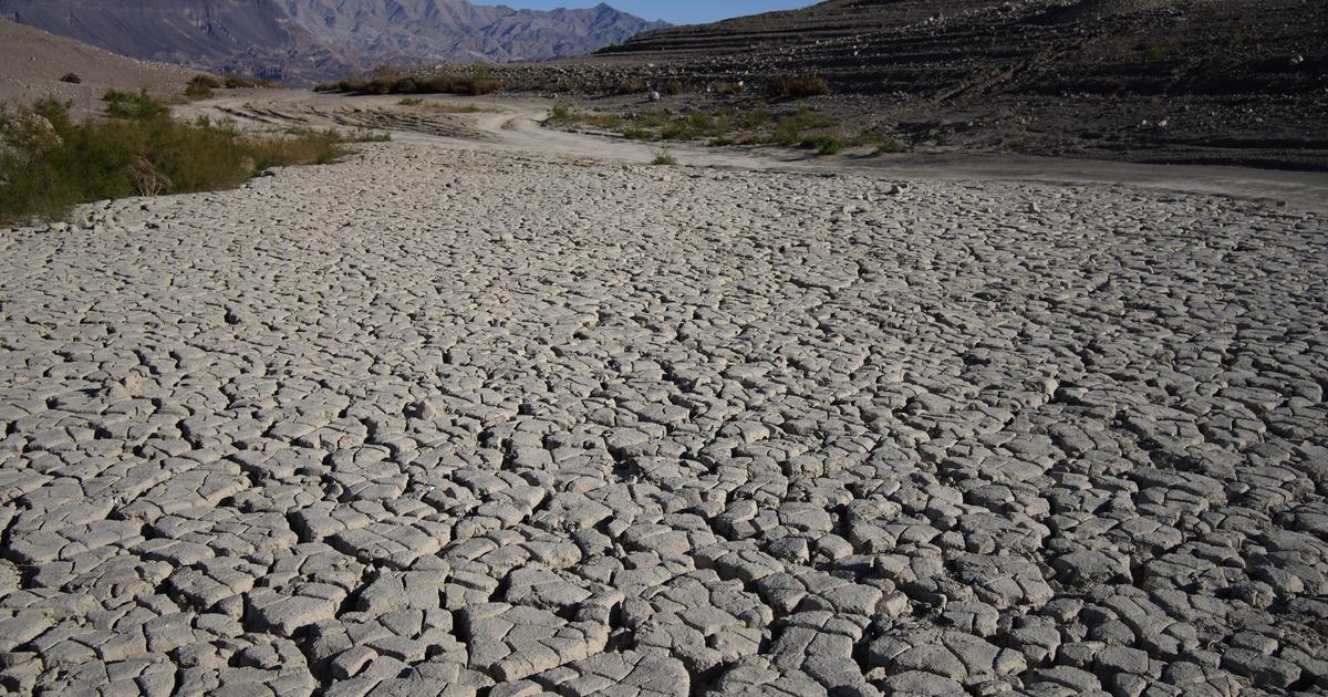 How climate change is raising the cost of food