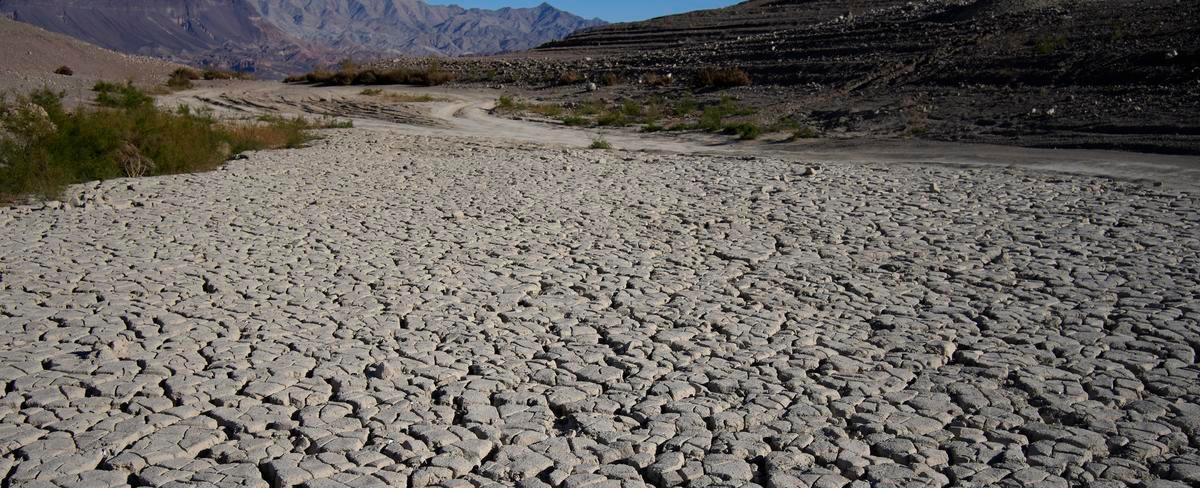 How climate change is raising the cost of food