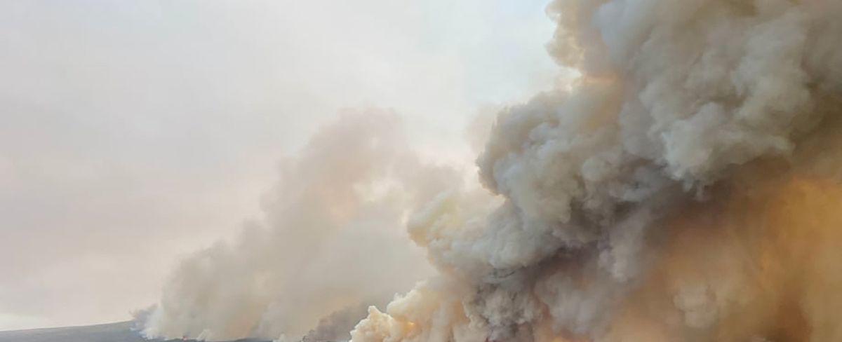 Alberta declares state of emergency over wildfires