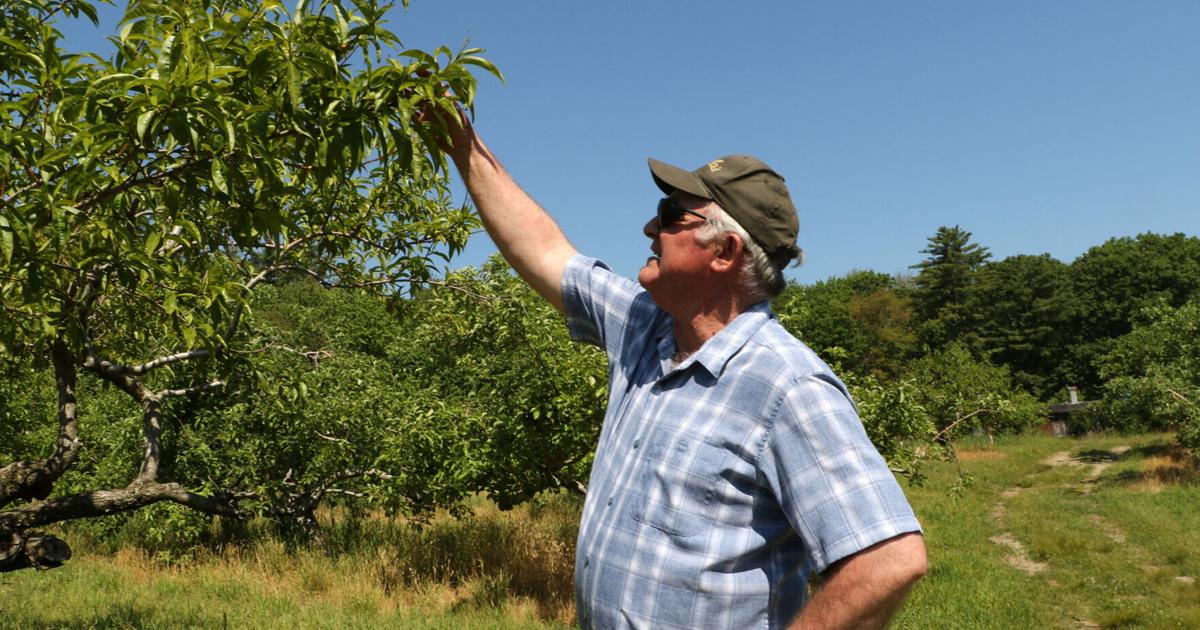 NH farms recovering after extreme weather events