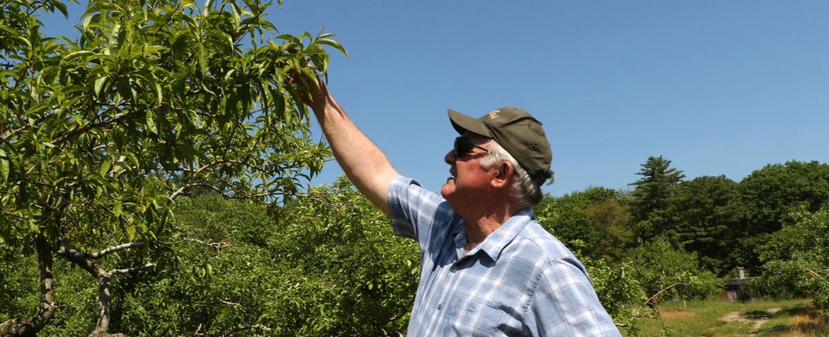 NH farms recovering after extreme weather events