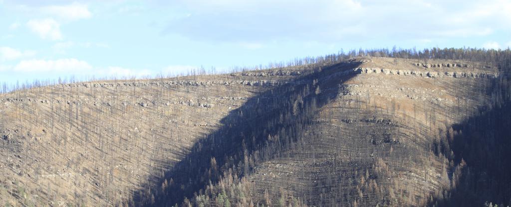 Politicians tell Forest Service: Do more to fight wildfires