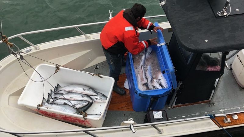 California's salmon fishers warn of 'hard times coming' as they face canceled season | CNN