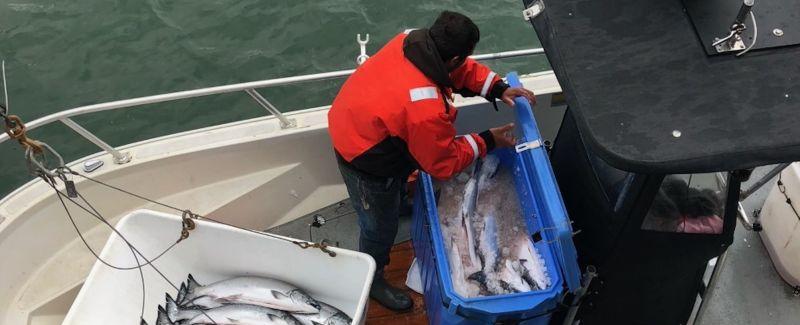 California's salmon fishers warn of 'hard times coming' as they face canceled season | CNN
