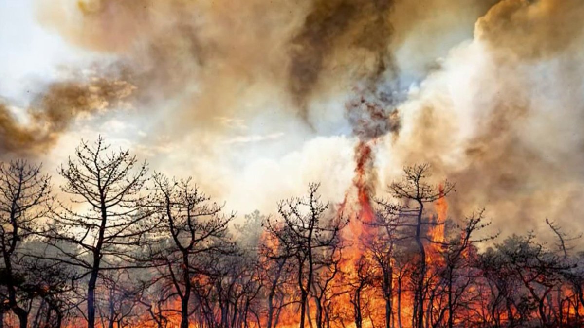 After a Busy Week for NJ Firefighters, Risk of Wildfires Remains High