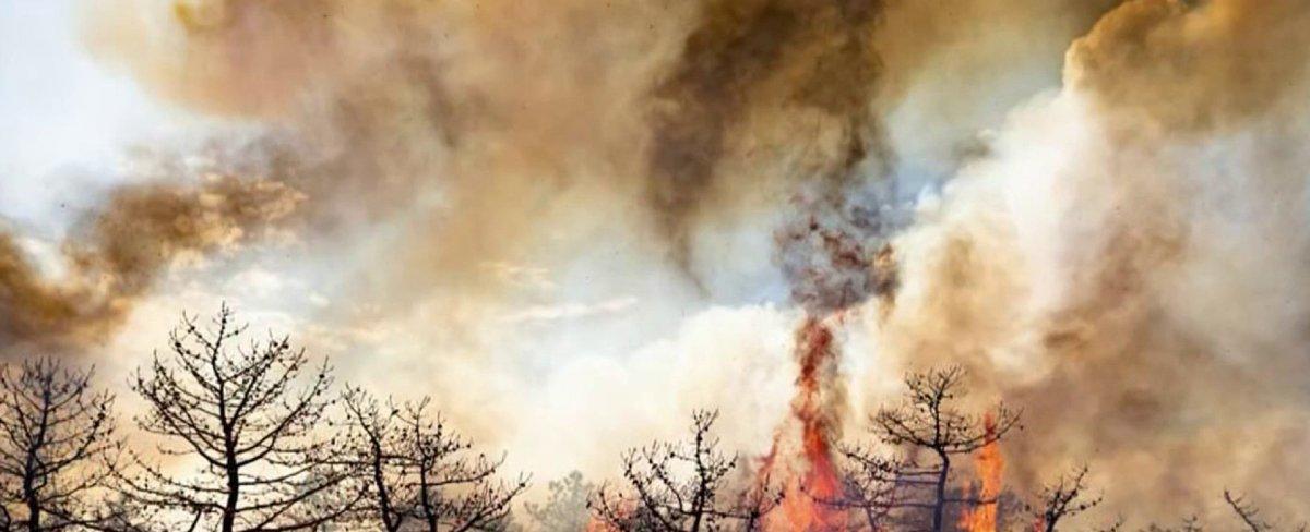 After a Busy Week for NJ Firefighters, Risk of Wildfires Remains High