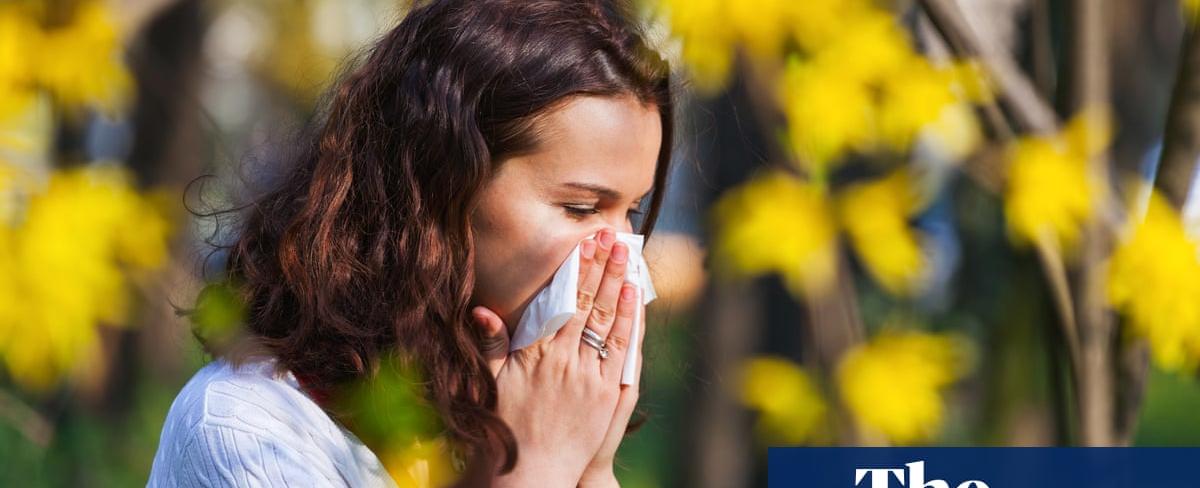 Hay fever may get worse due to climate change, says Met Office