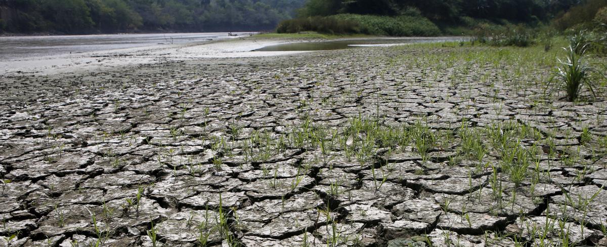 Extreme Weather Expected As El Nino Climate Pattern Returns, US Forecaster Says