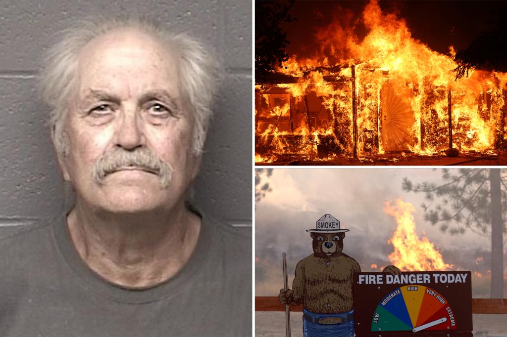 Alleged arsonist busted in Yosemite Nat'l Park blaze initially attributed to climate change