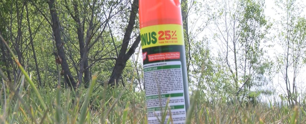 An increase of heat brings out more mosquitos this summer after may snow storm